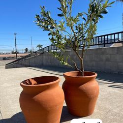 Macetas De Barro 15” Tall $25 Each 