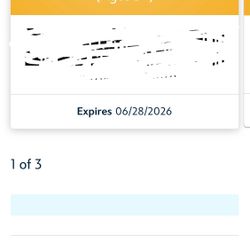 Disney pass 