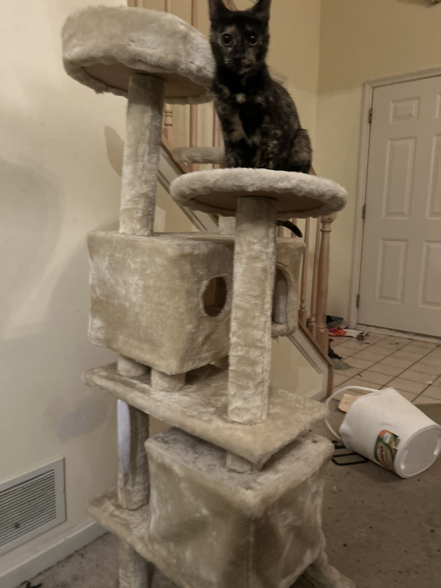 Cat Tree With Condo