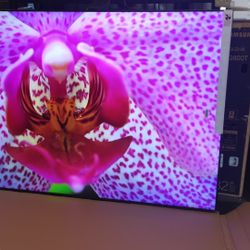 SAMSUNG 98"INCH QLED 4K Q80C 