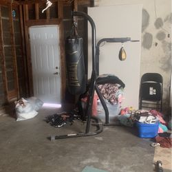 Everlast Punching Bag With Speed Bag Connected