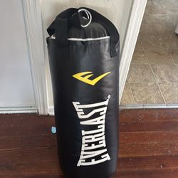 Everlast punching bag