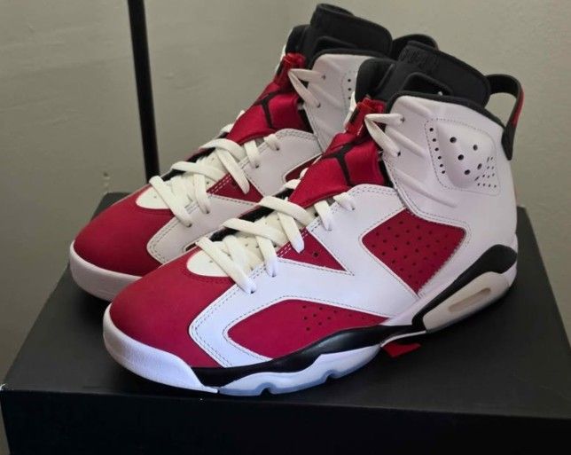 Air Jordan 6 Carmine Size 10