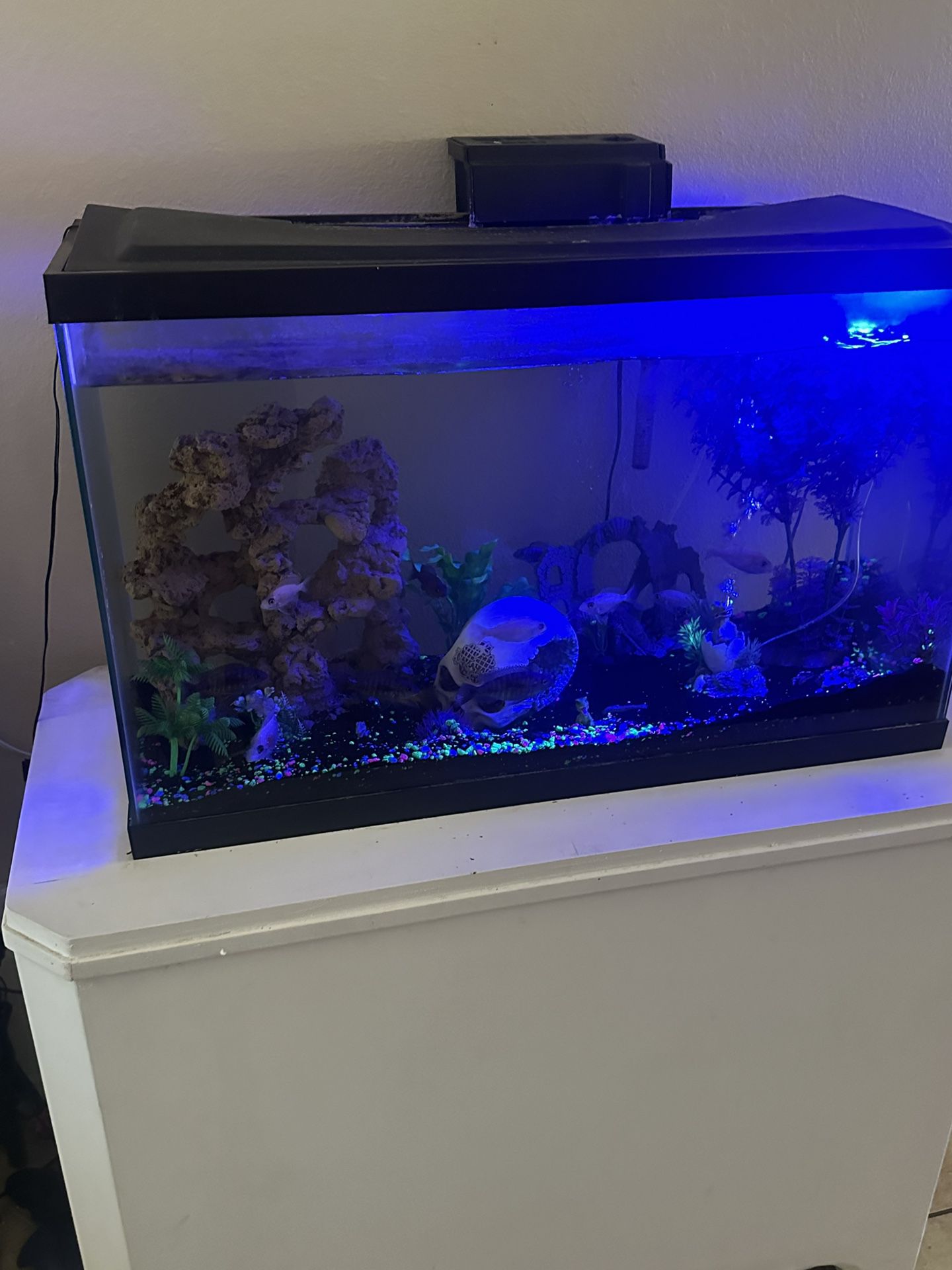 Fish Tank And Base