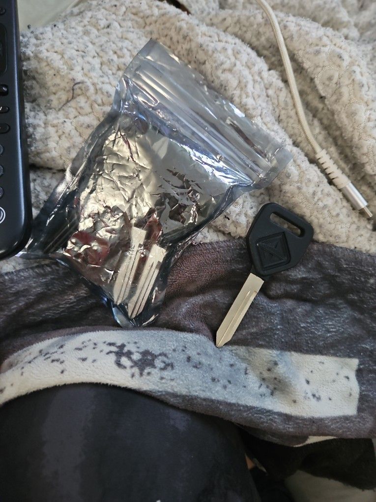 5 Free International Truck Blank Keys