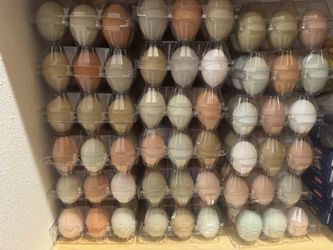 Fresh Eggs By The Dozen