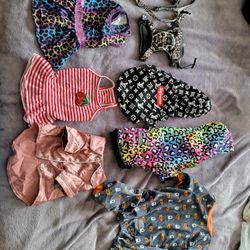 Dog Outfits