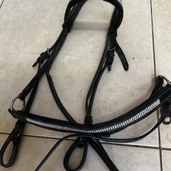 Bridle