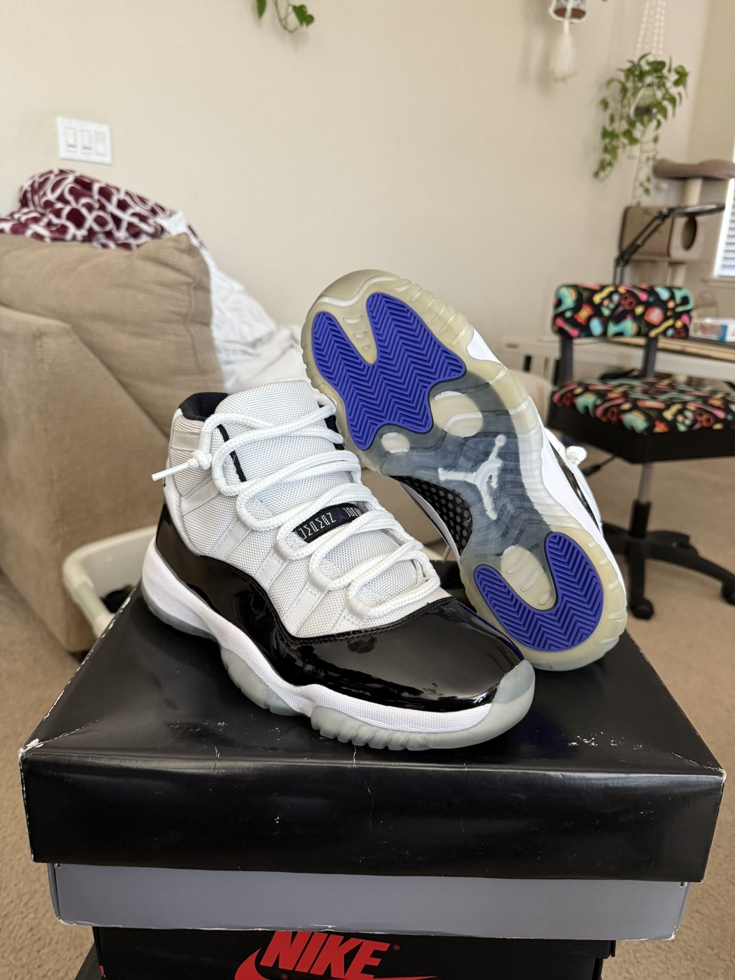 Jordan 11 “Concord” - Size 9M