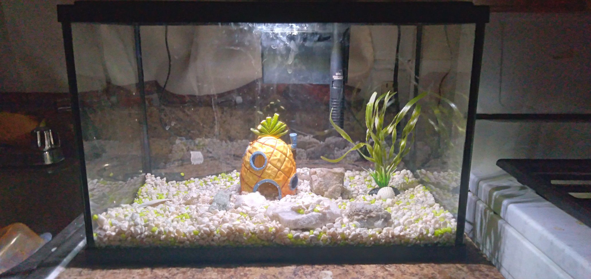 5.5 gallon fish tank