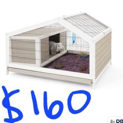 Rabbit Hutch 