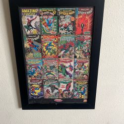 All The Amazing Spider-Man Comic Books Painting