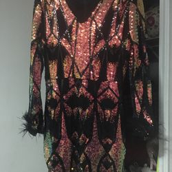 XL Sequined Dress W/feathered Sleeves