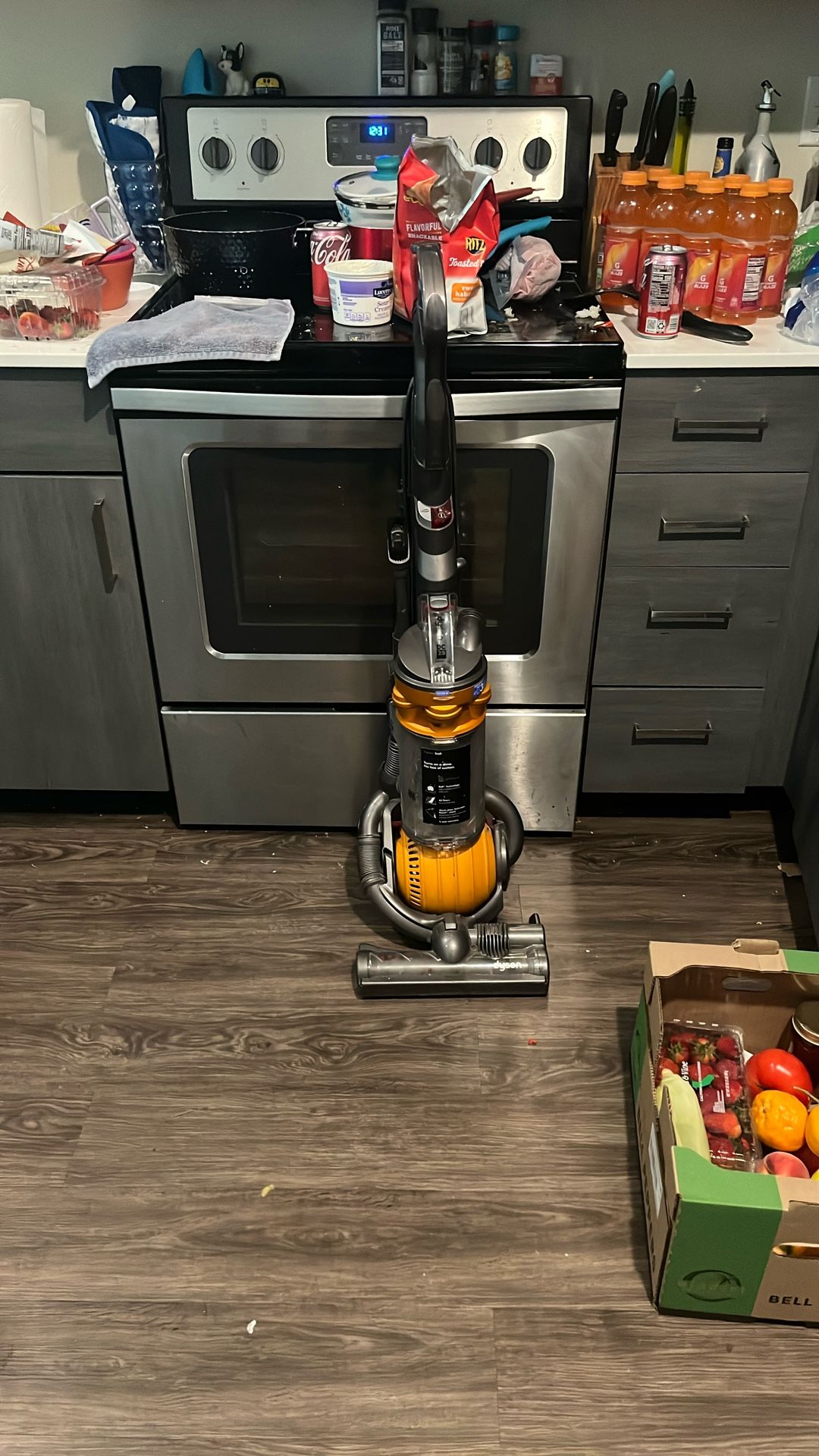 Dyson Ball