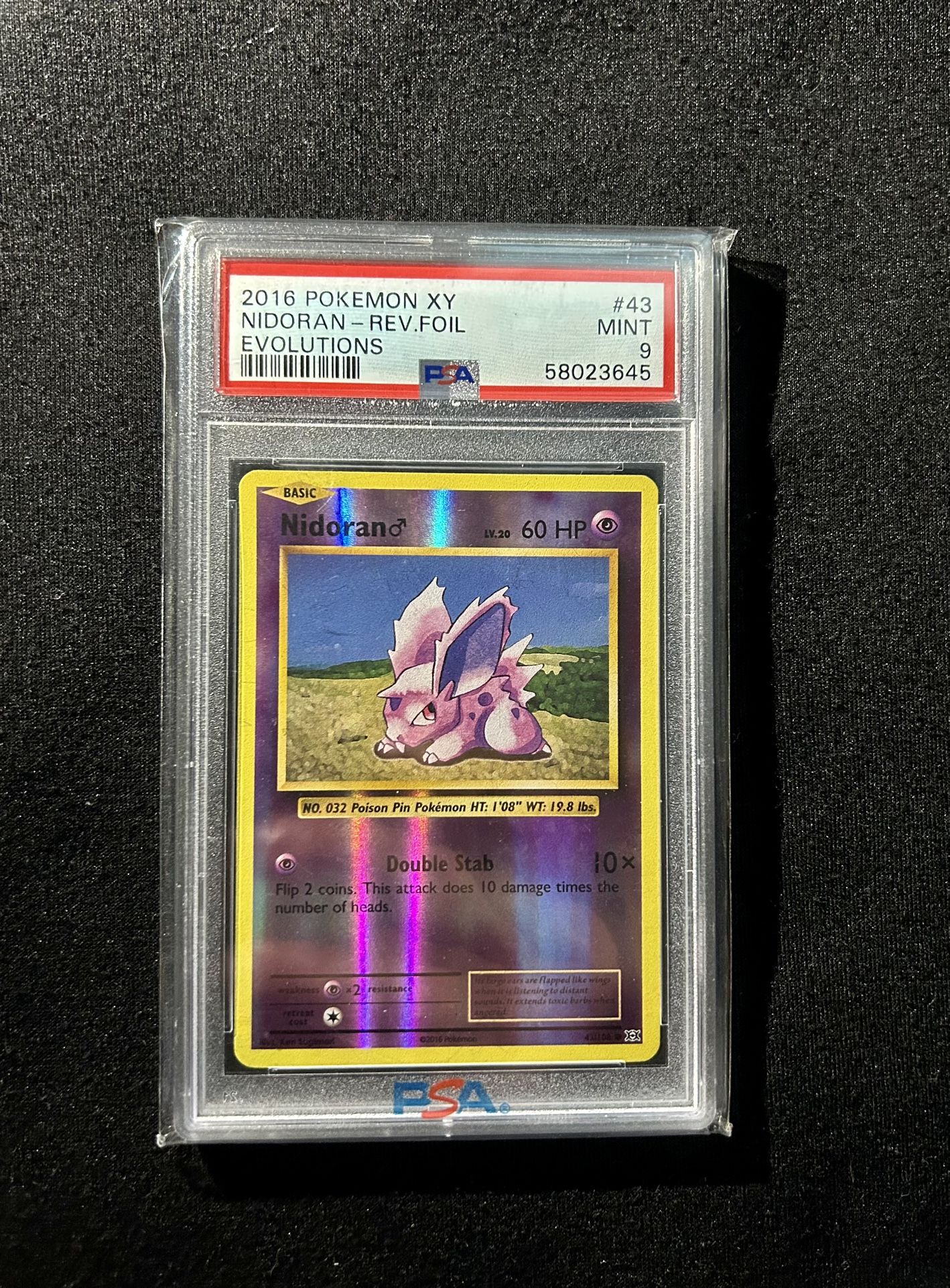 Nidoran Grade 9 Pokémon