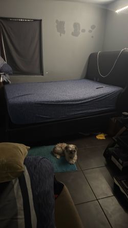Bed frame and mattress