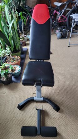 Bowflex Adjustable Workout Bench 
