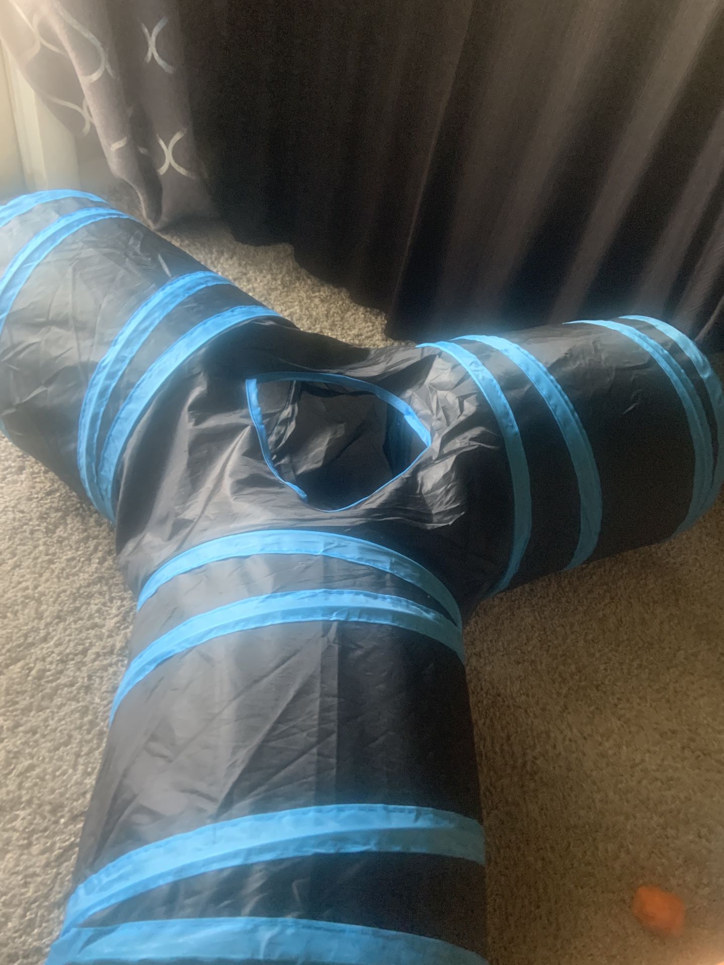 Pet Tunnel Blue/black Bunnies,cat , Etc