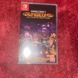 Mincraft Dungeons Brand New 