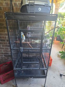 Parrot cages