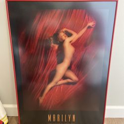 Framed Marilyn Monroe Art