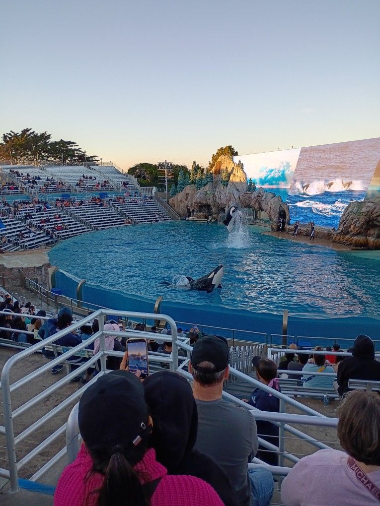 SeaWorld Tickets