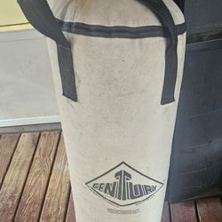 Punching bag