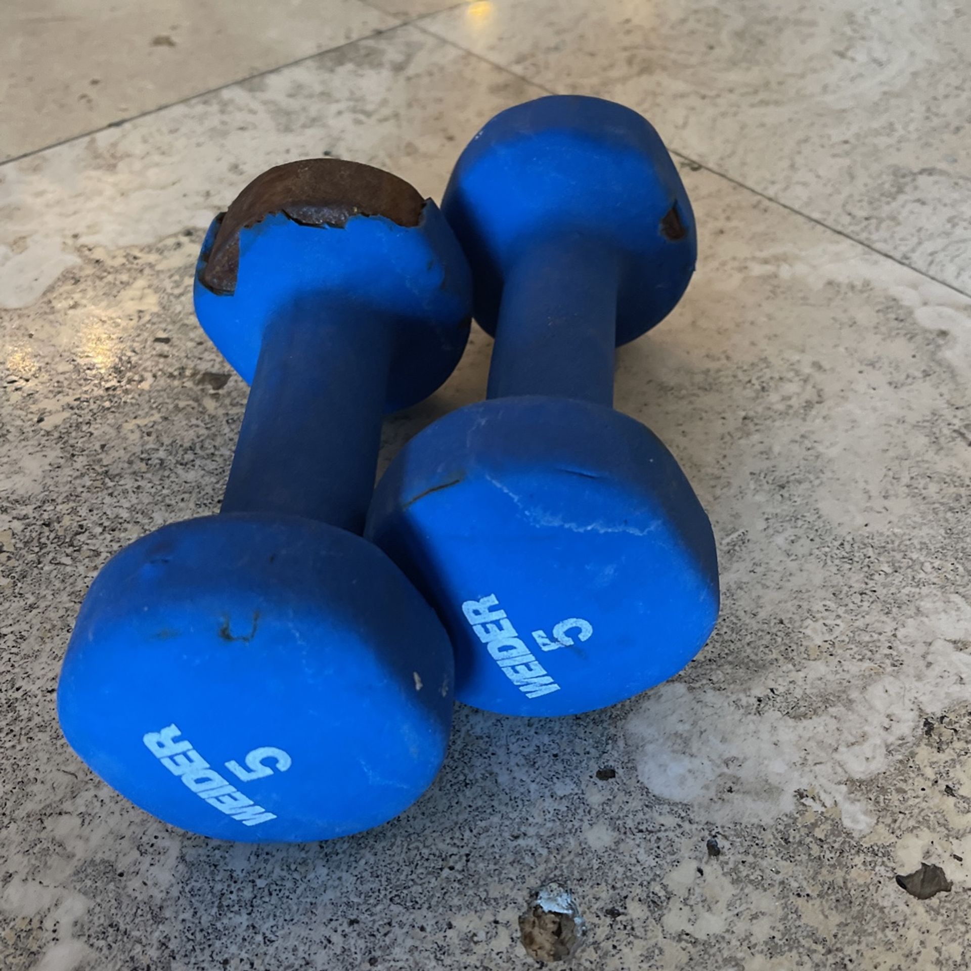 5lb Rubber Dumbbells