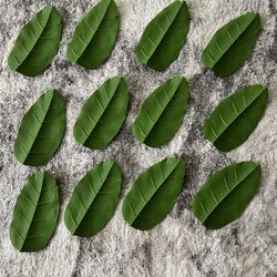 Artificial Leaves (12)