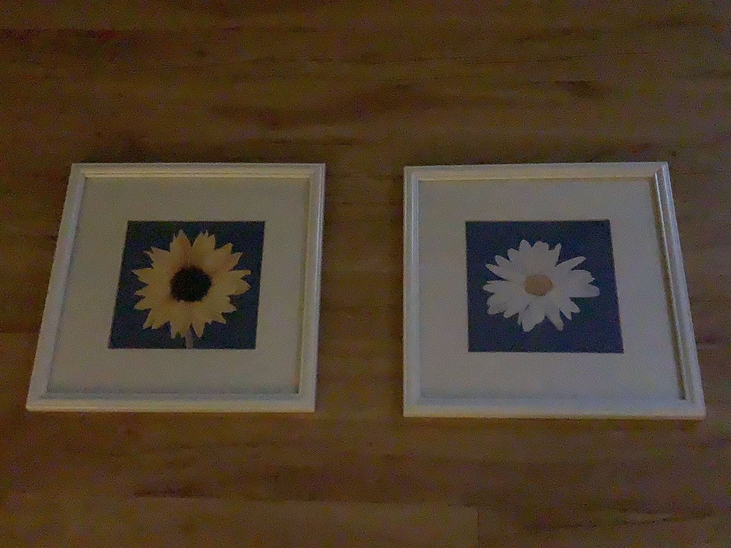 Set Of 2 Flower Framed Wall Art