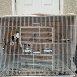 Parakeet Bird Cage 
