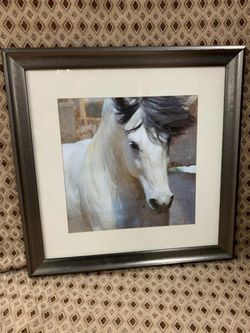 Horse Frame