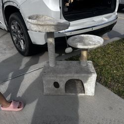 Cat Scratch And Chill Post