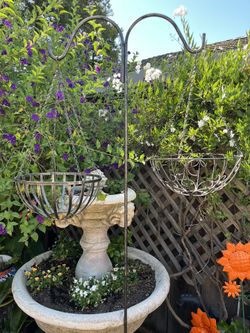 Shepherd Hook With Baskets