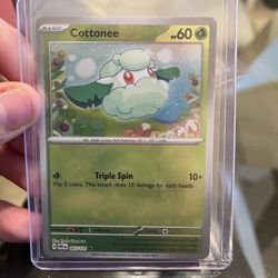 Double Holo Poke Ball Error cottonee/black belt’s training