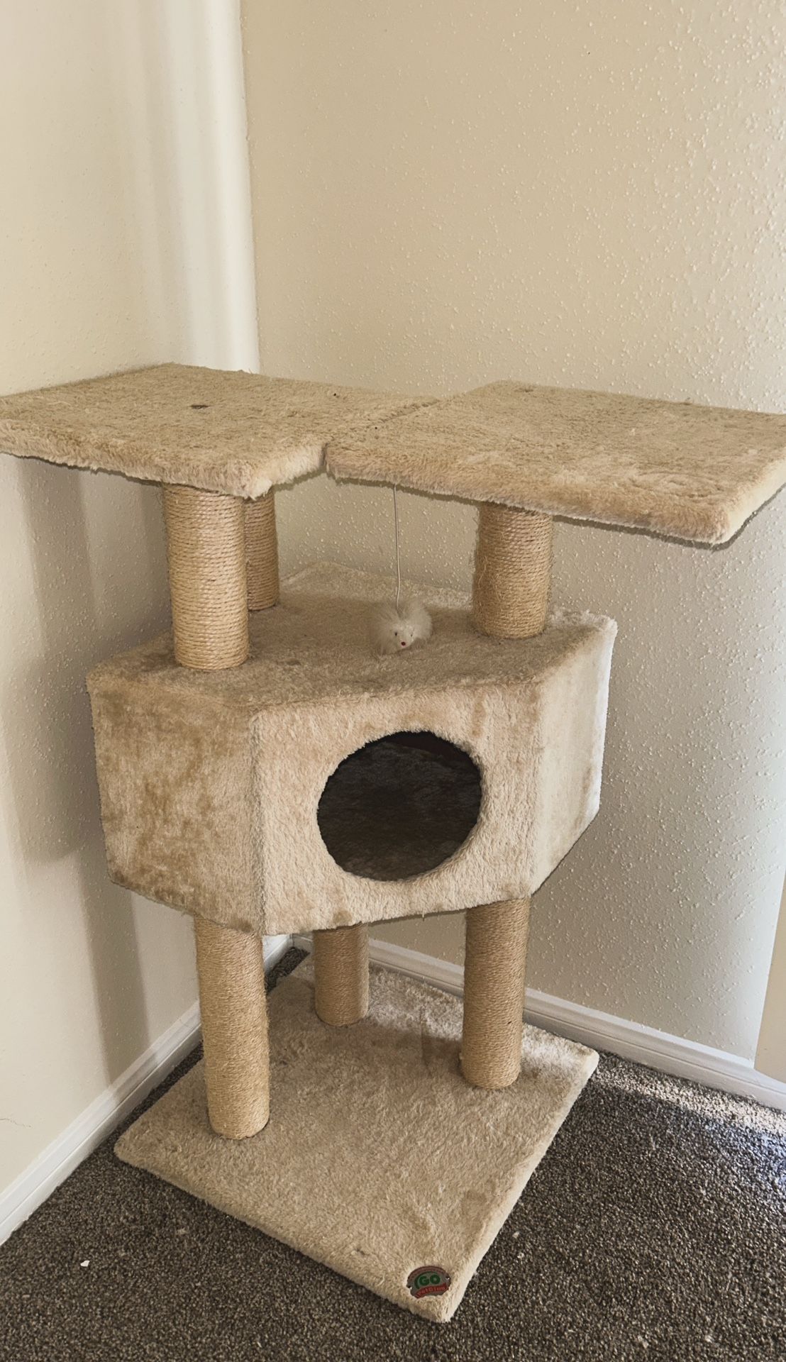 Cat Supplies{ALL TOGETHER}