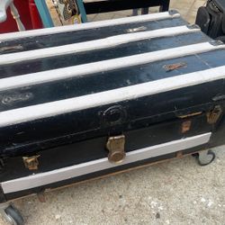 Old Trunk 