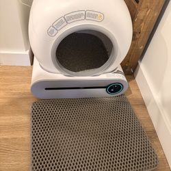 Automatic Litter Box