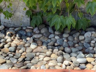 Landscape River Rocks