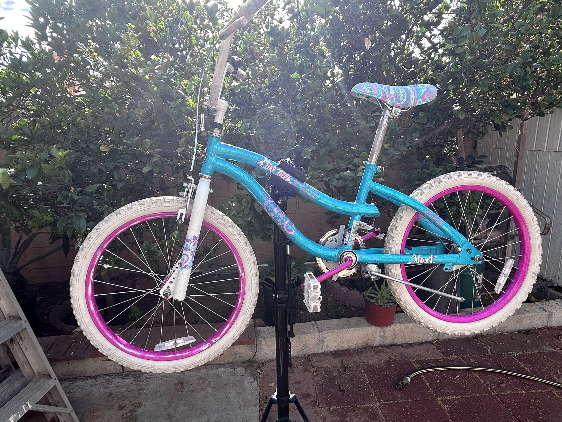 20” Next “Girl Talk” Bike