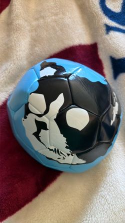 Tyler The Creator CFG Camp Flog Gnaw Soccer Ball