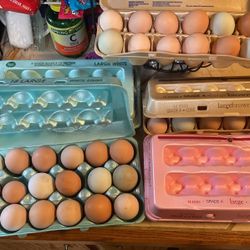 Fresh Eggs Available 