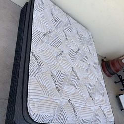 New White Bamboo All Sizes