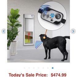 Electric Doggy Door. Dog Door
