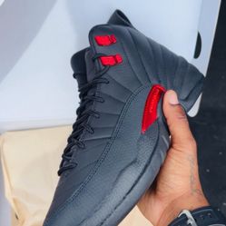 Air Jordan 12 bloodline (Size 10)