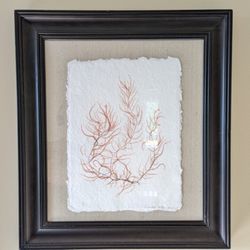 Framed Seaweed art - Corinna Kaufman. 