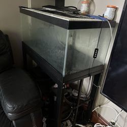 40gal fish tank and stand only