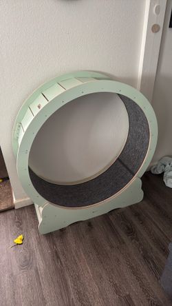 Cat wheel