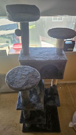 Cat misc items all for $50