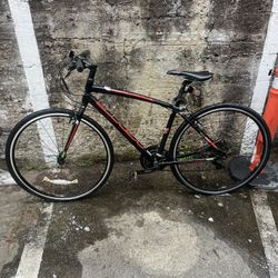 Hybrid Road Bike